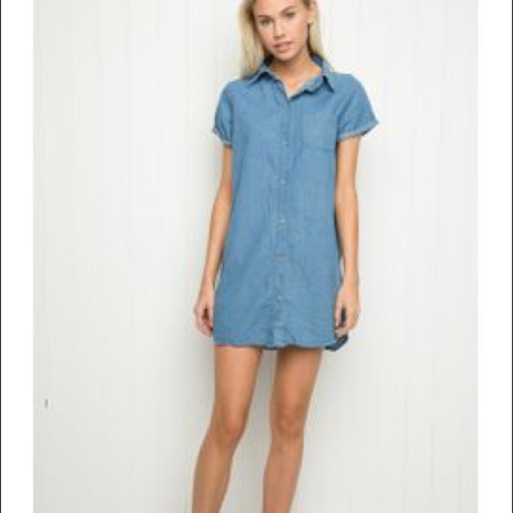 Brandy Melville Mira Denim Dress